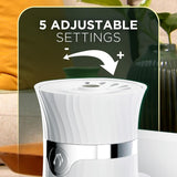 Airwick SCENTED OIL - Ruhaa Store