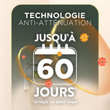 Airwick SCENTED OIL - Ruhaa Store