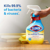 Clorox Disinfecting All-Purpose Cleaner and Disinfecting - Ruhaa Store