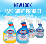 Clorox Disinfecting All-Purpose Cleaner and Disinfecting - Ruhaa Store
