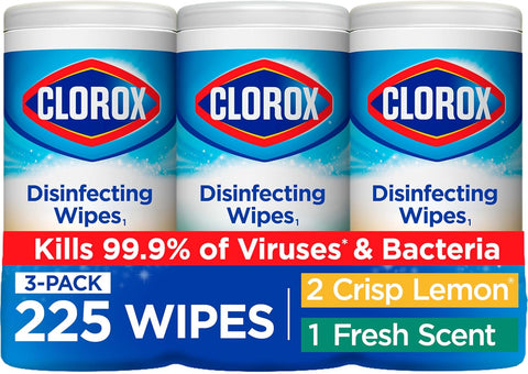 Clorox Disinfecting Wipes Value Pack - Ruhaa Store